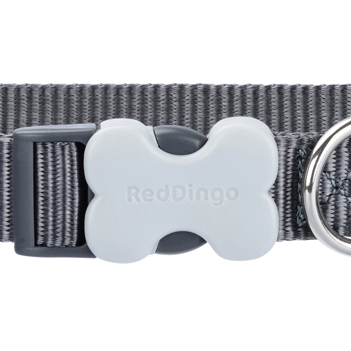 Red Dingo Classic Grey Dog Collar - Image 2