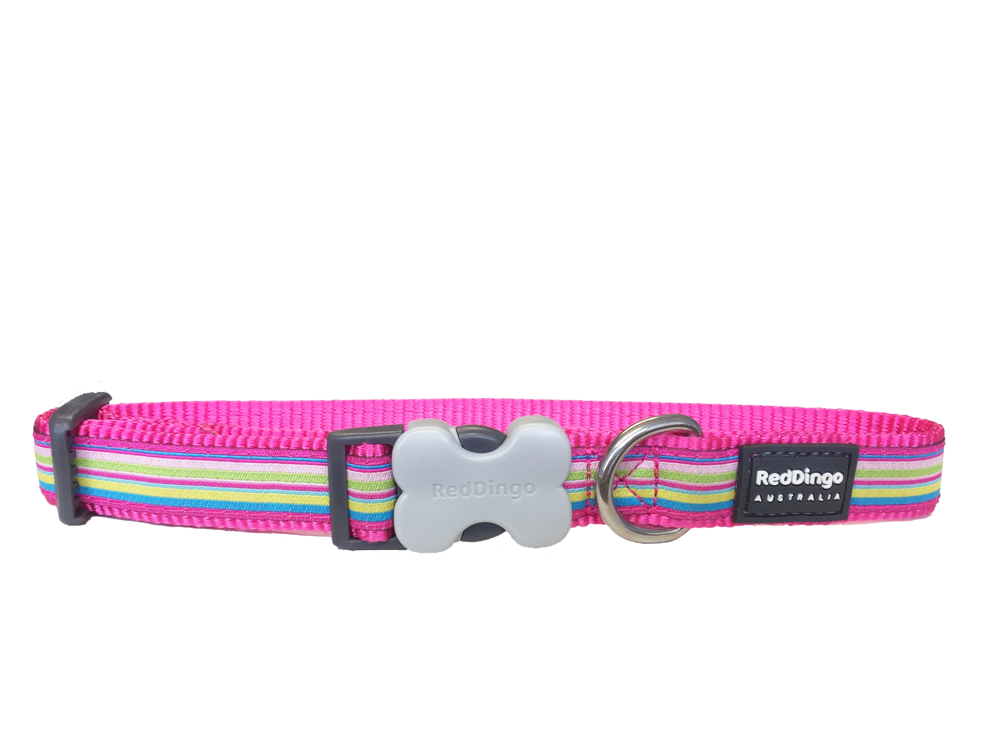 Red Dingo Hot Pink Stripe Dog Collar - Image 4