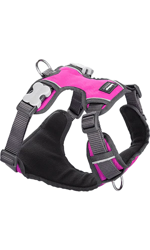 Red Dingo Padded Hot Pink Dog Harness