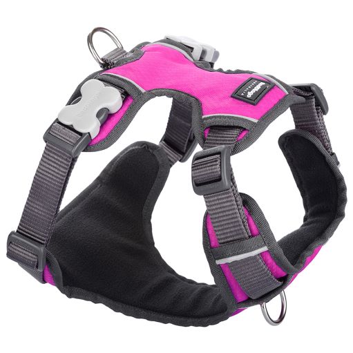 Red Dingo Padded Hot Pink Dog Harness - Image 4