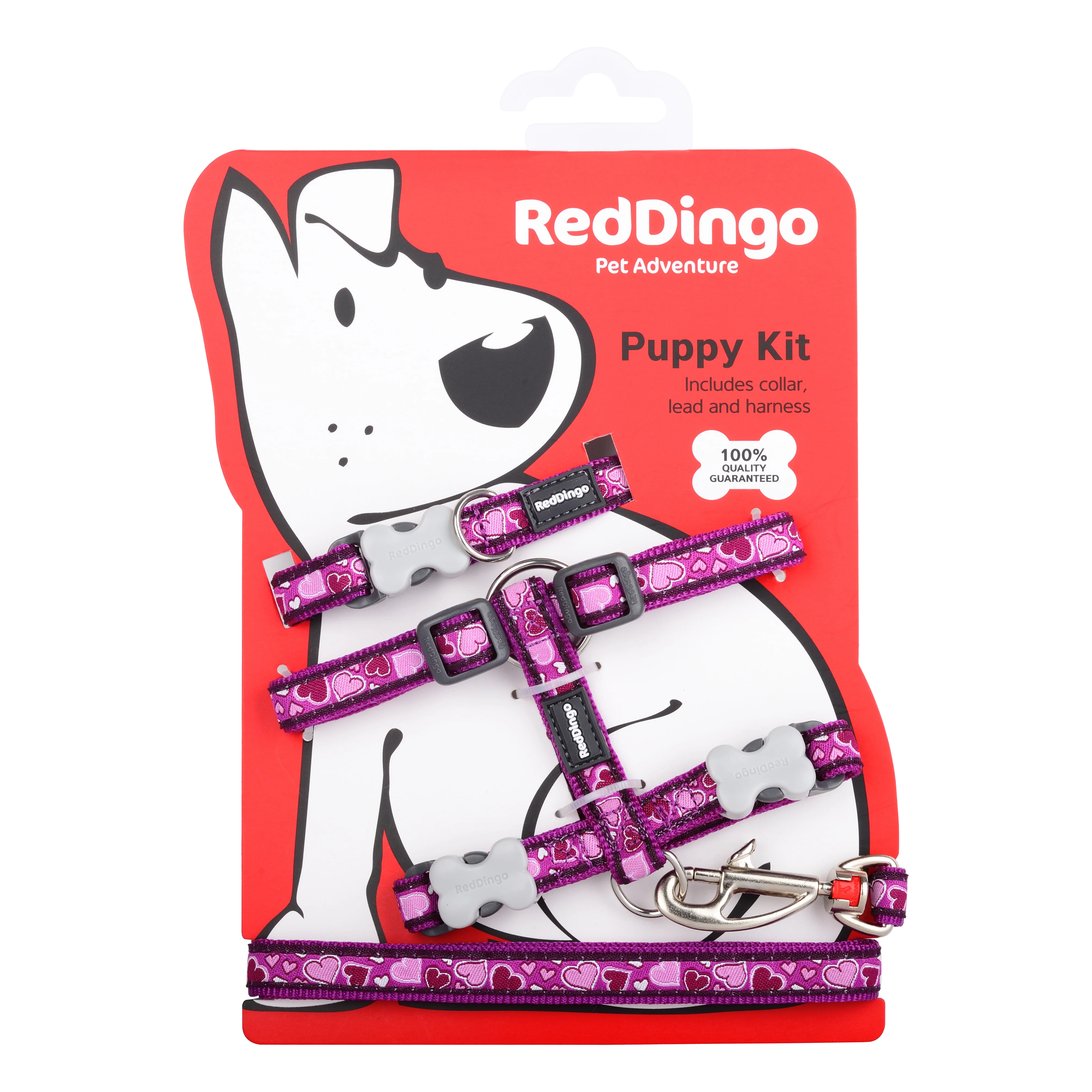 Red Dingo Puppy Kit Breezy Love Purple