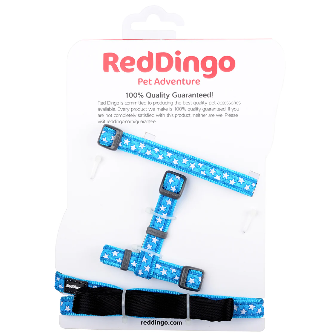 Red Dingo Puppy Kit Stars Turquoise - Image 2