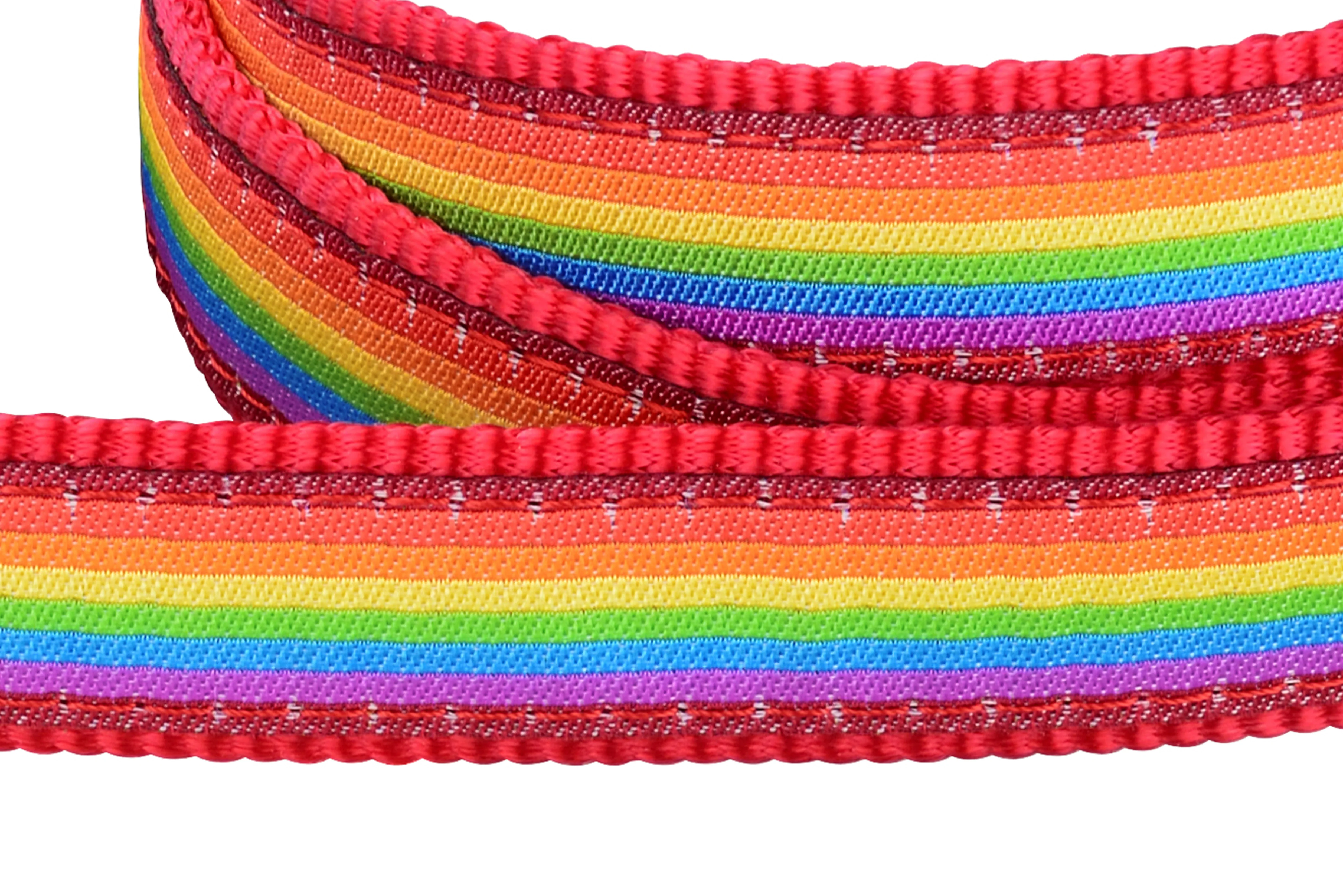 Red Dingo Rainbow Dog Lead - Image 2
