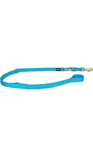 Red Dingo Turquoise Training Dog Lead