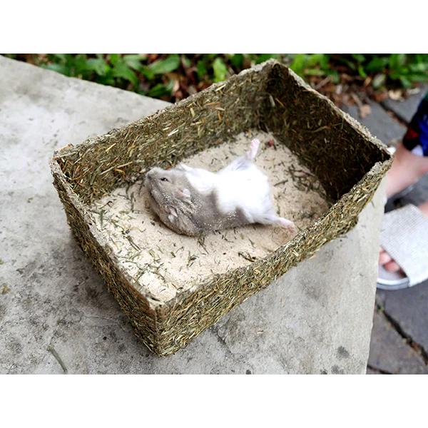 Rollin' Rodent Sand Bath - Image 4