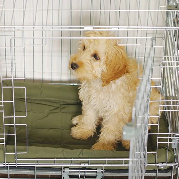 Rosewood 2 Door Dog/Puppy Homes (3 sizes) - Image 11