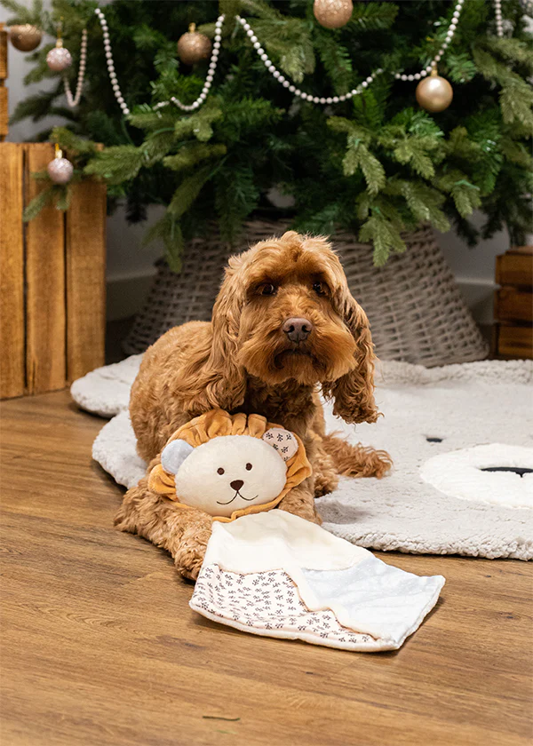 Rosewood Lion Crinkle Blankie - Image 4