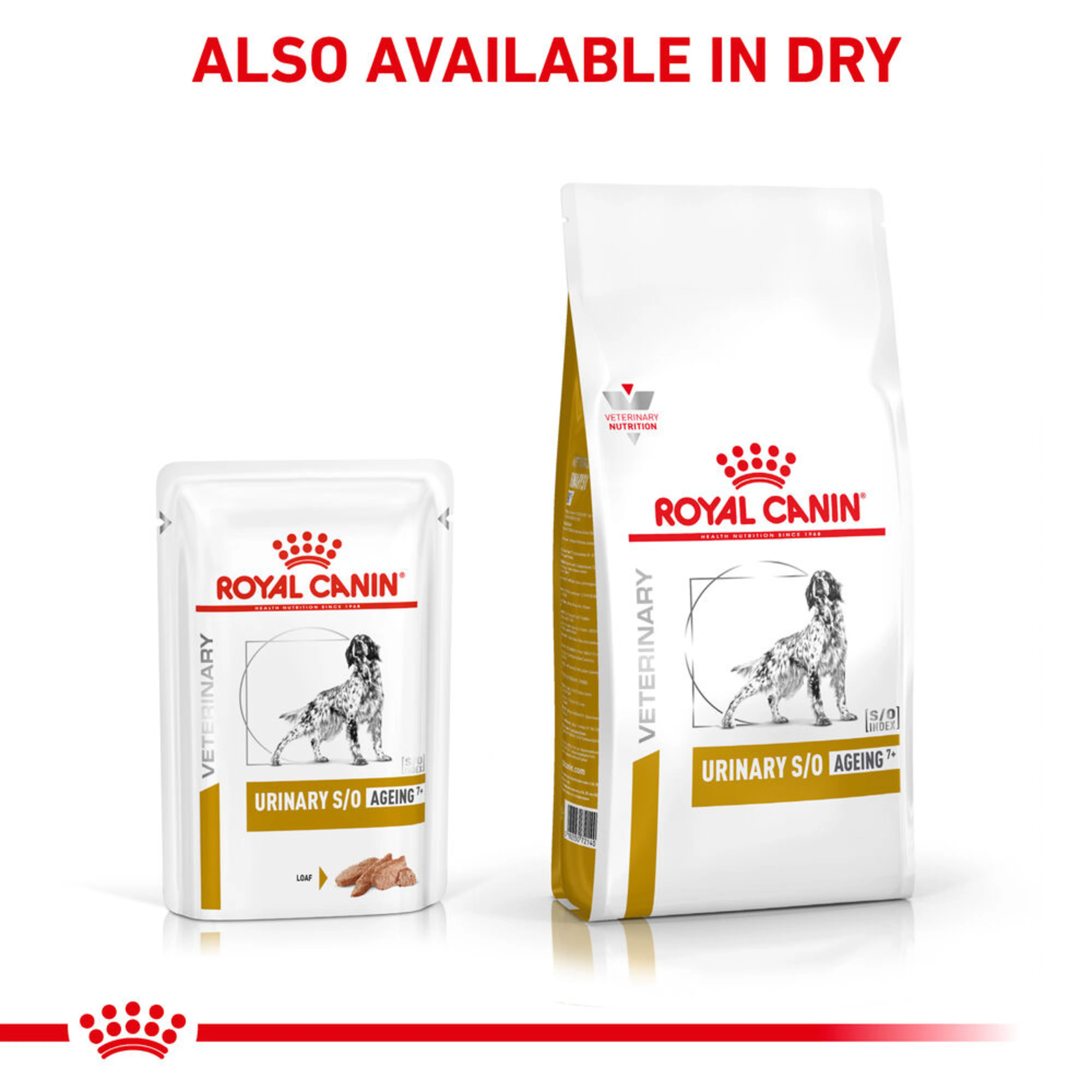 ROYAL CANIN® Canine Urinary S/O Ageing 7+ Loaf Wet Dog Food - Image 4