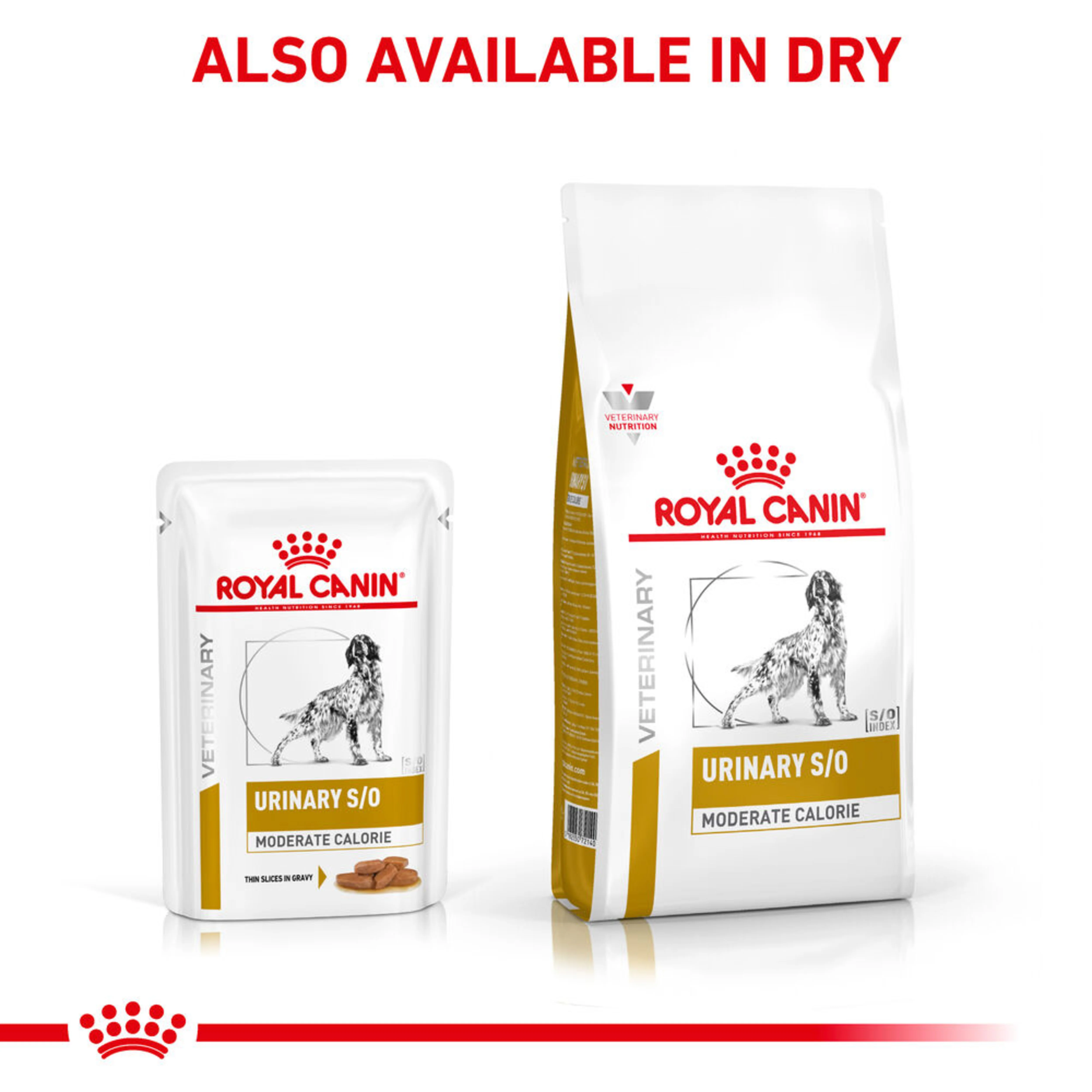ROYAL CANIN® Canine Urinary S/O Moderate Calorie Thin Slices in Gravy Adult Wet Dog Food - Image 4