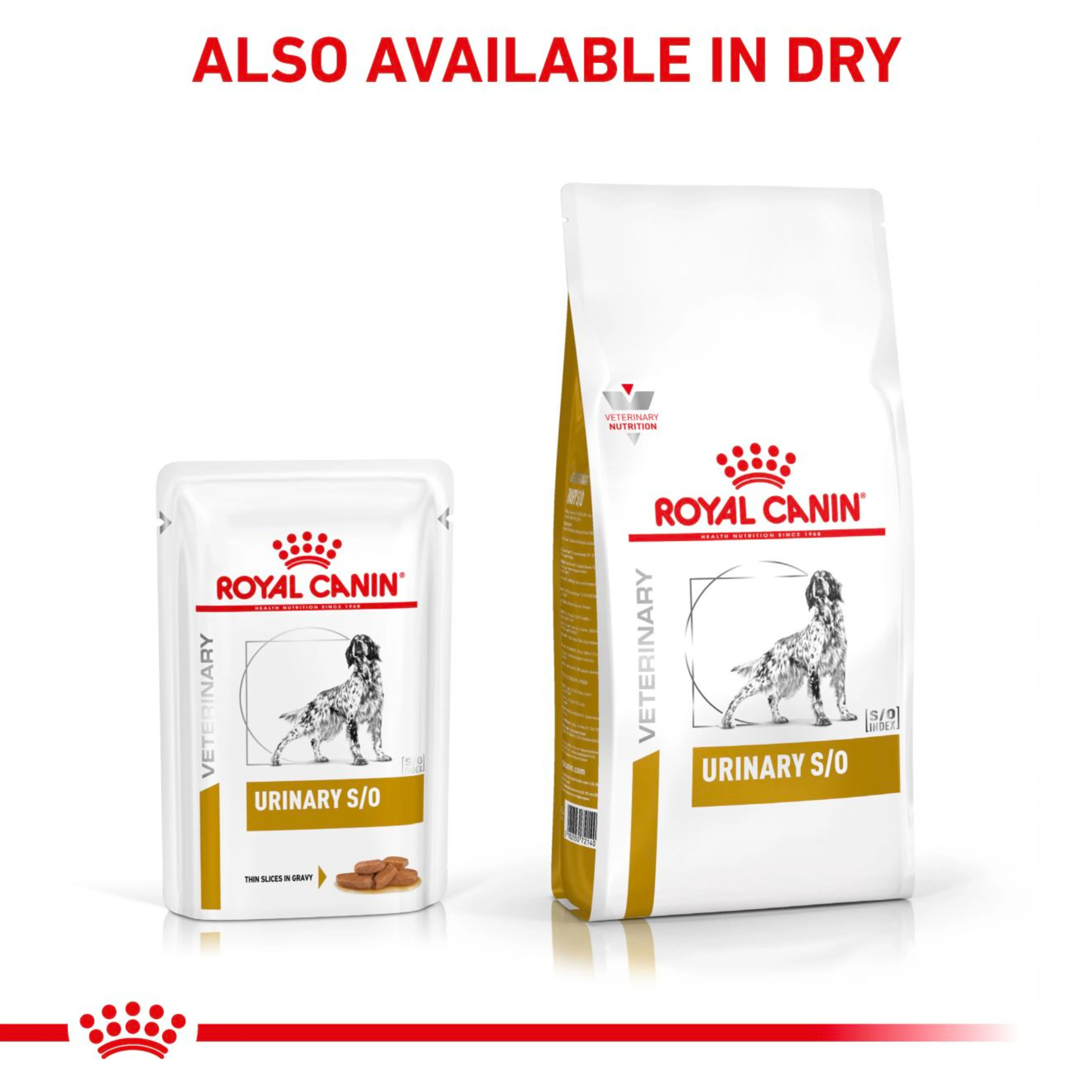 ROYAL CANIN® Canine Urinary S/O Thin Slices in Gravy Adult Wet Dog Food - Image 4