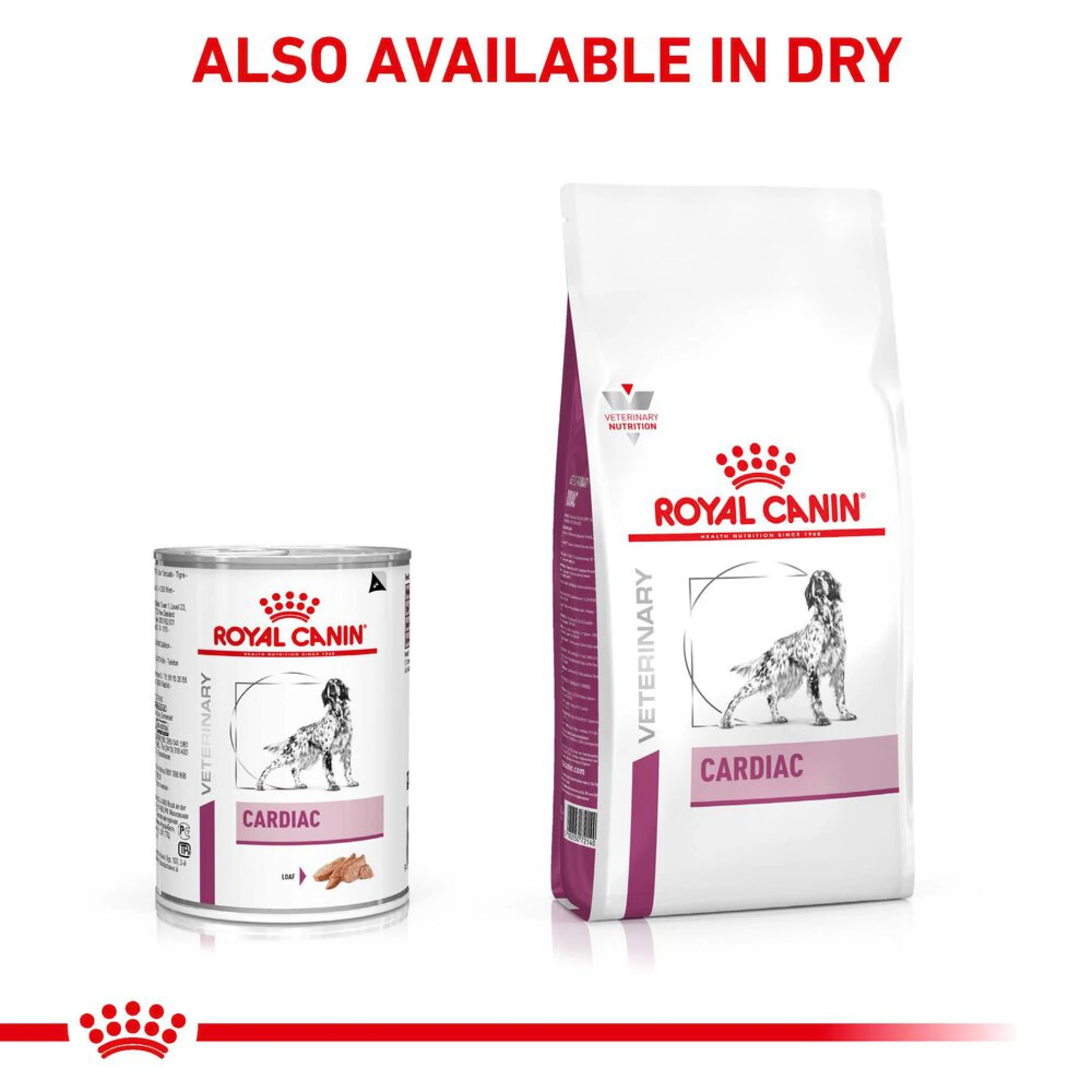 ROYAL CANIN® Cardiac Adult Wet Dog Food In Loaf - Image 2