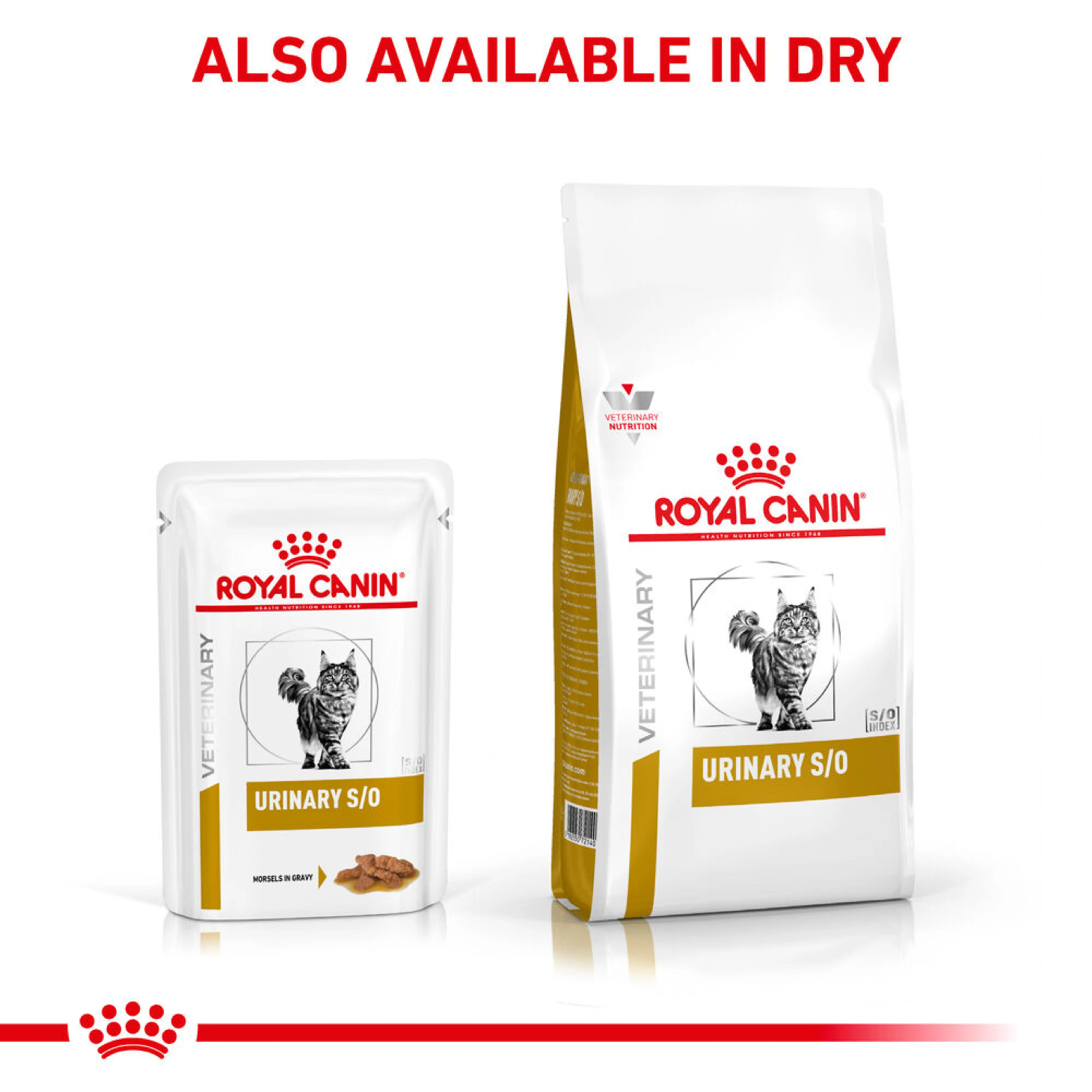 ROYAL CANIN® Feline Urinary S/O Morsels in Gravy Adult Wet Cat Food - Image 3