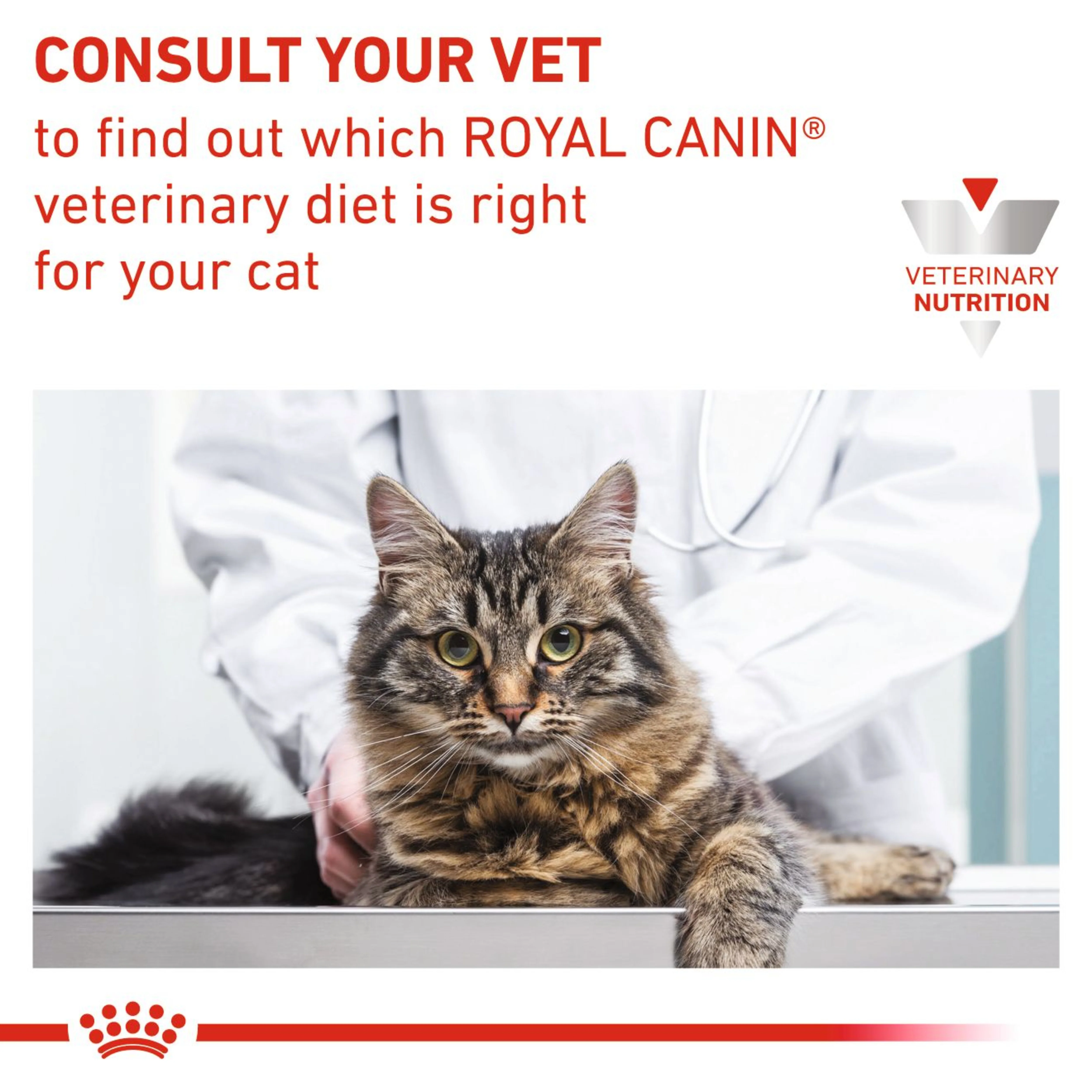 ROYAL CANIN® Feline Urinary S/O Morsels in Gravy Adult Wet Cat Food - Image 4