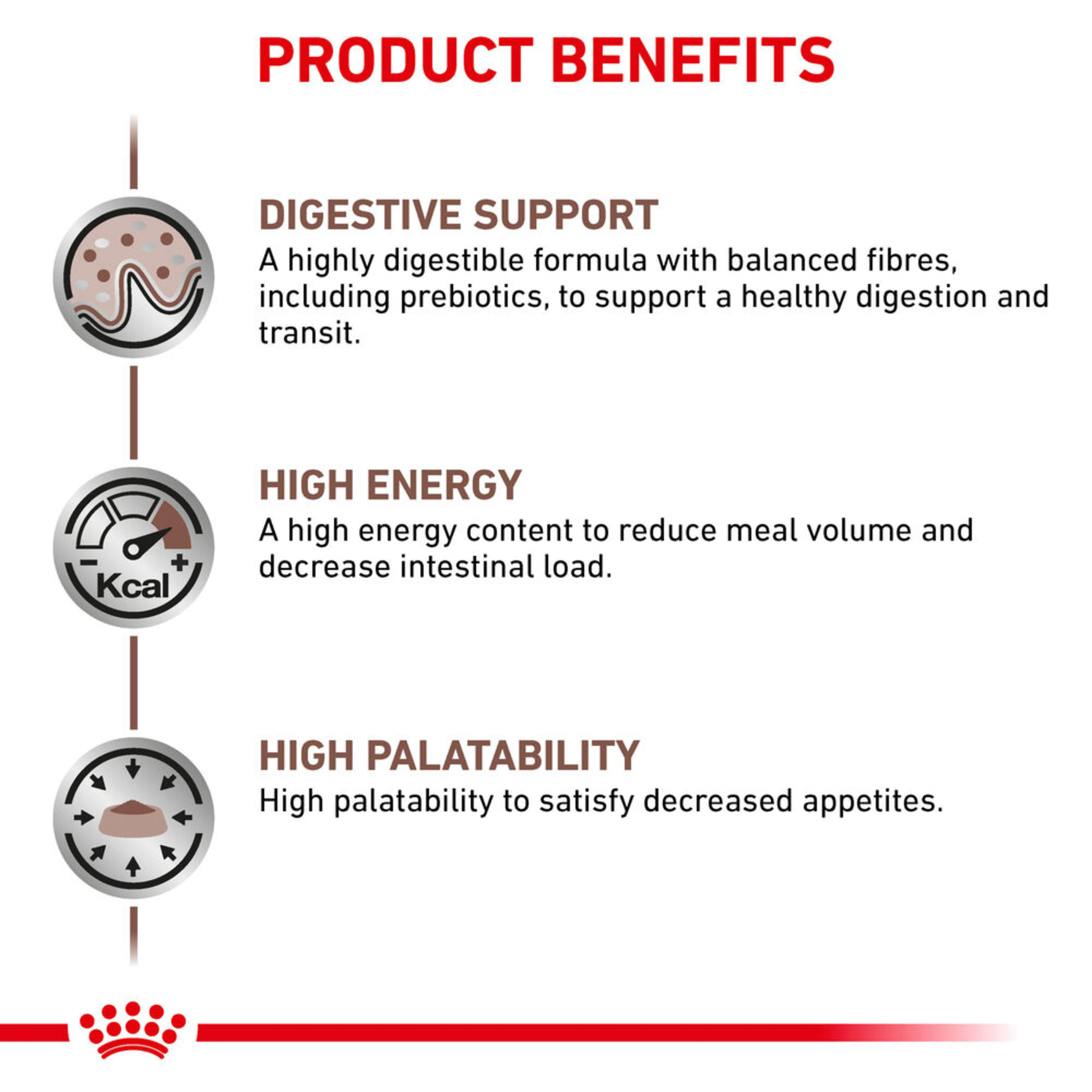 ROYAL CANIN® Gastrointestinal Adult Wet Cat Food 48s - Image 3