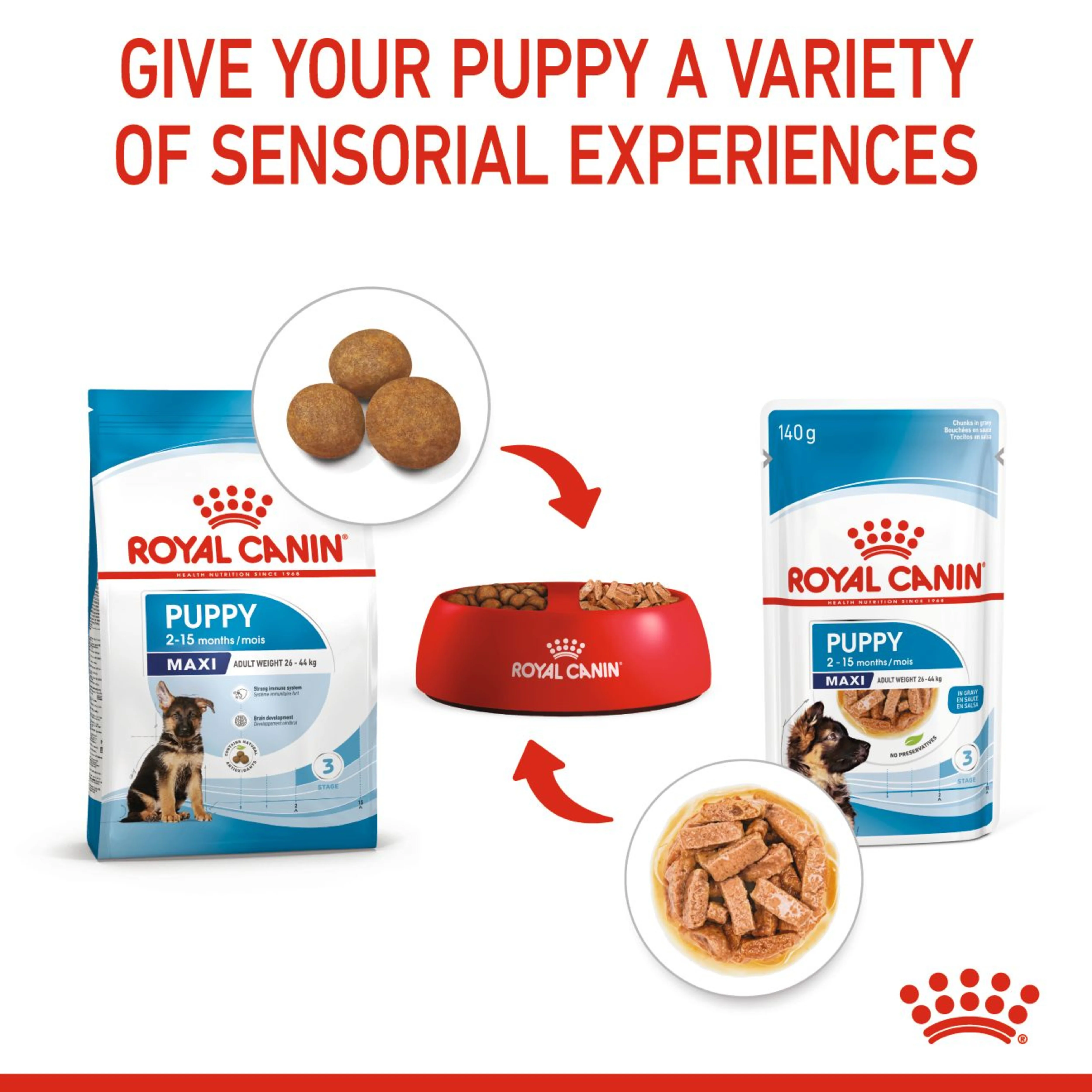 ROYAL CANIN® - Mini Puppy Dry Food - Image 4