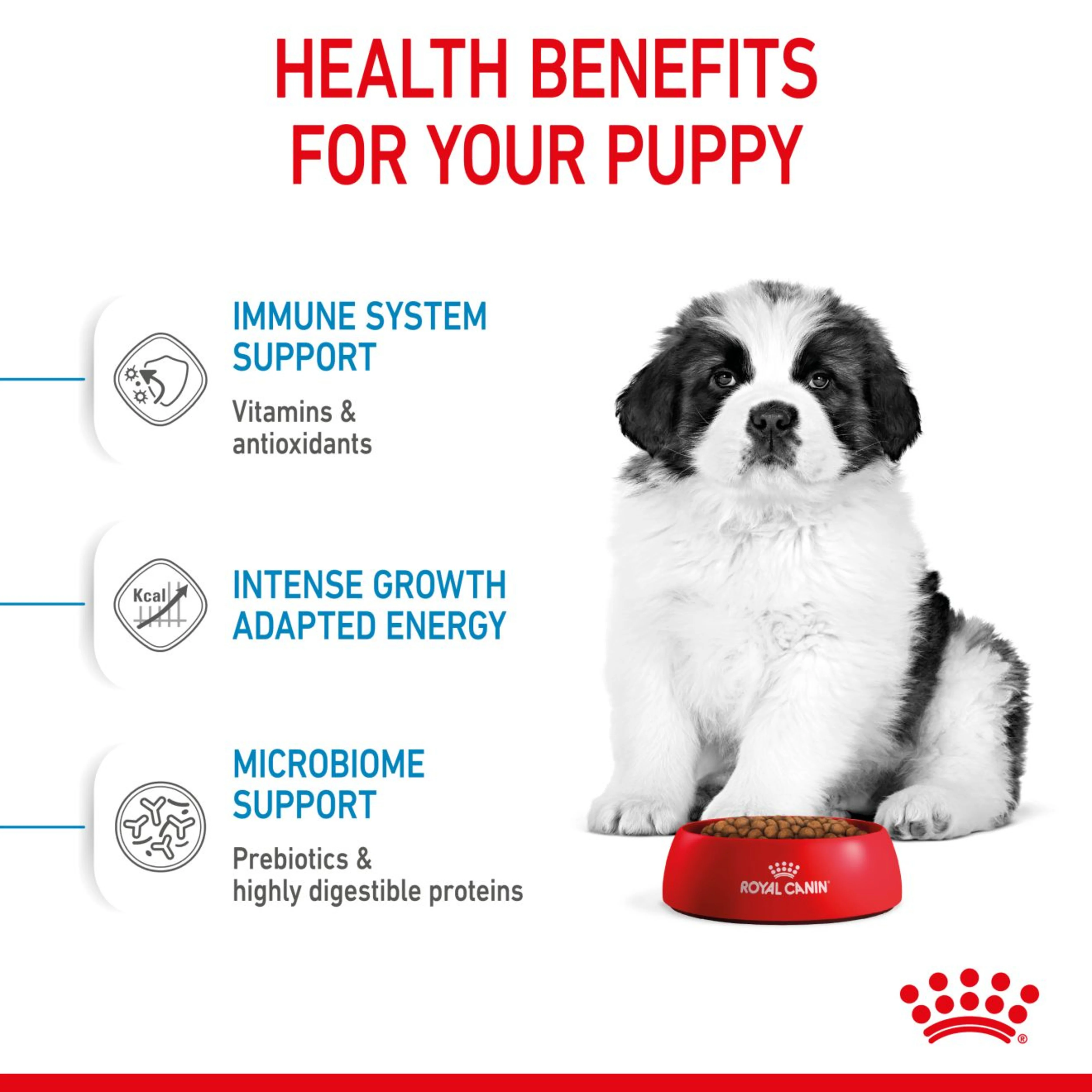 ROYAL CANIN® Puppy Giant Dog Dry Food - Image 3