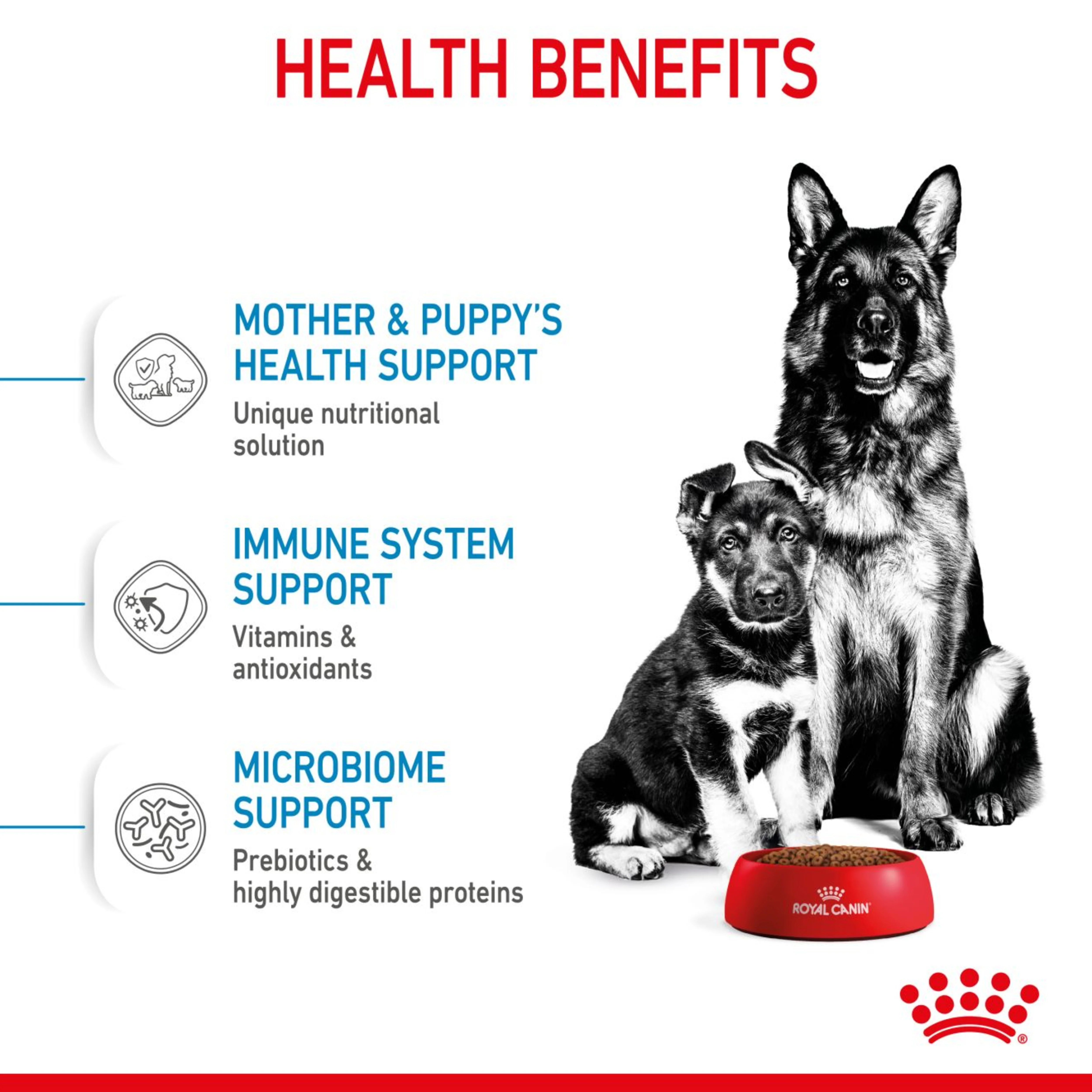 ROYAL CANIN® Starter Large Mother & Babydog Dry Food - Image 3
