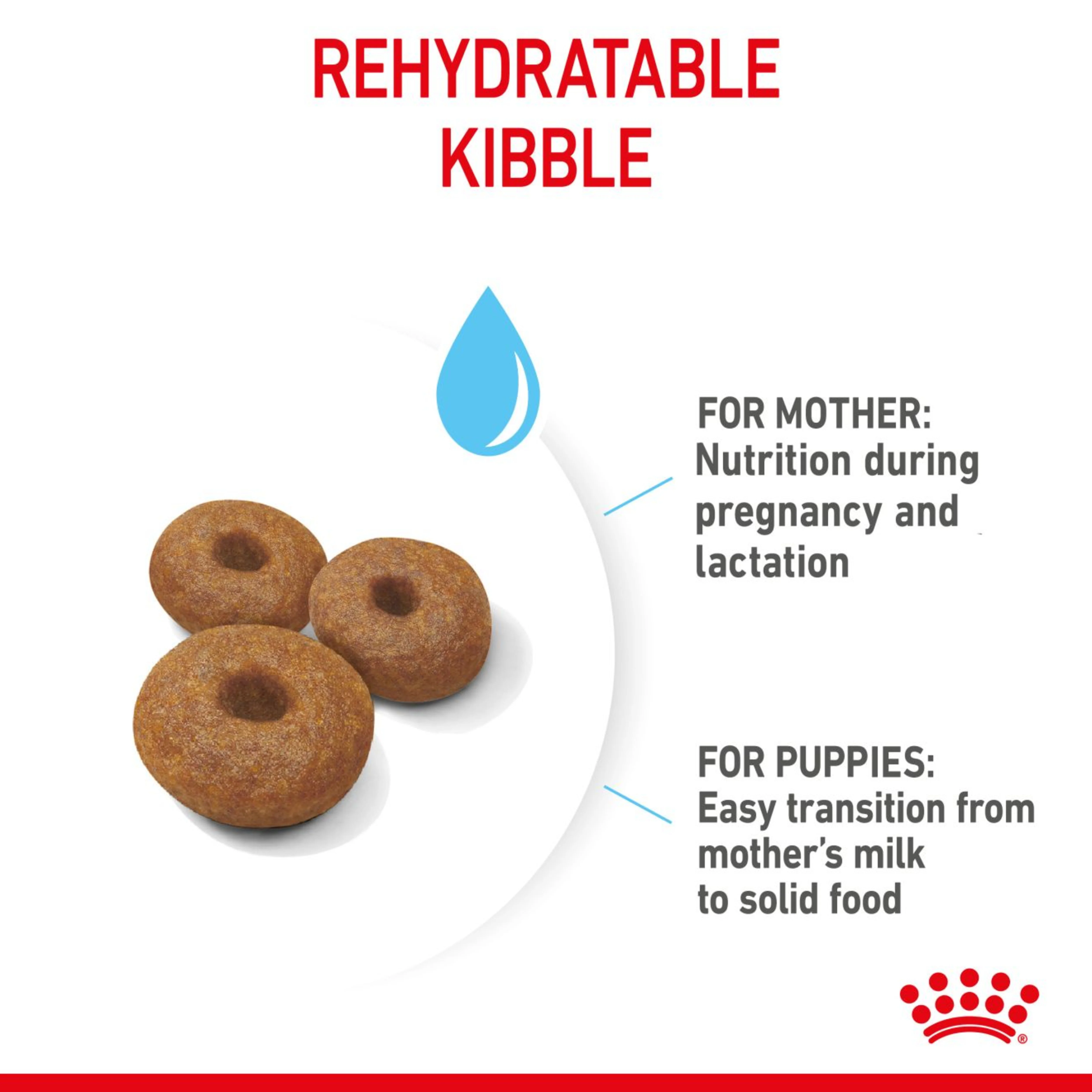 ROYAL CANIN® Starter Large Mother & Babydog Dry Food - Image 4