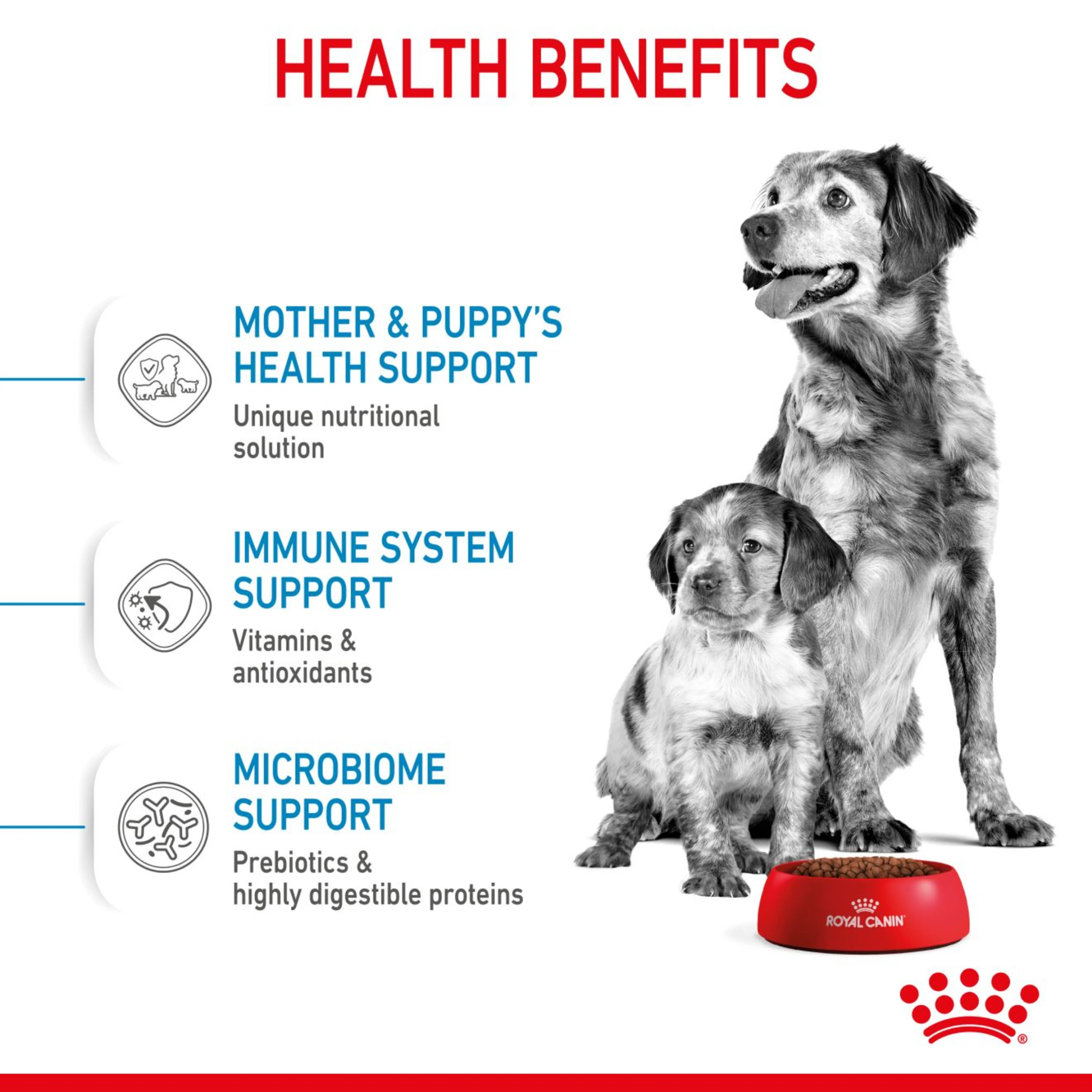 ROYAL CANIN® Starter Medium Mother & Babydog Dry Food - Image 3