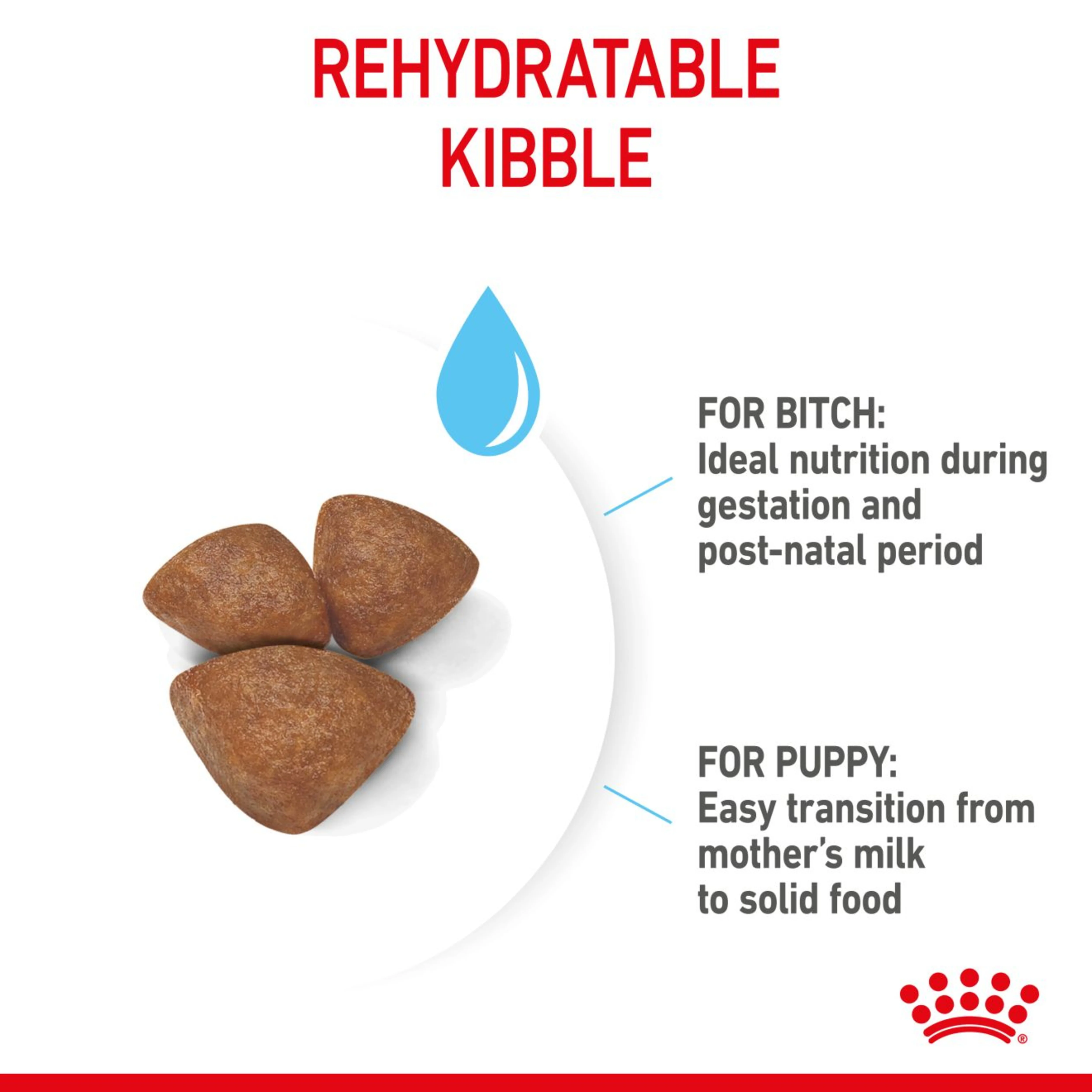 Royal Canin Starter Mother & Babydog Adult & Puppy Mini Dry Small Dog Food - Image 3