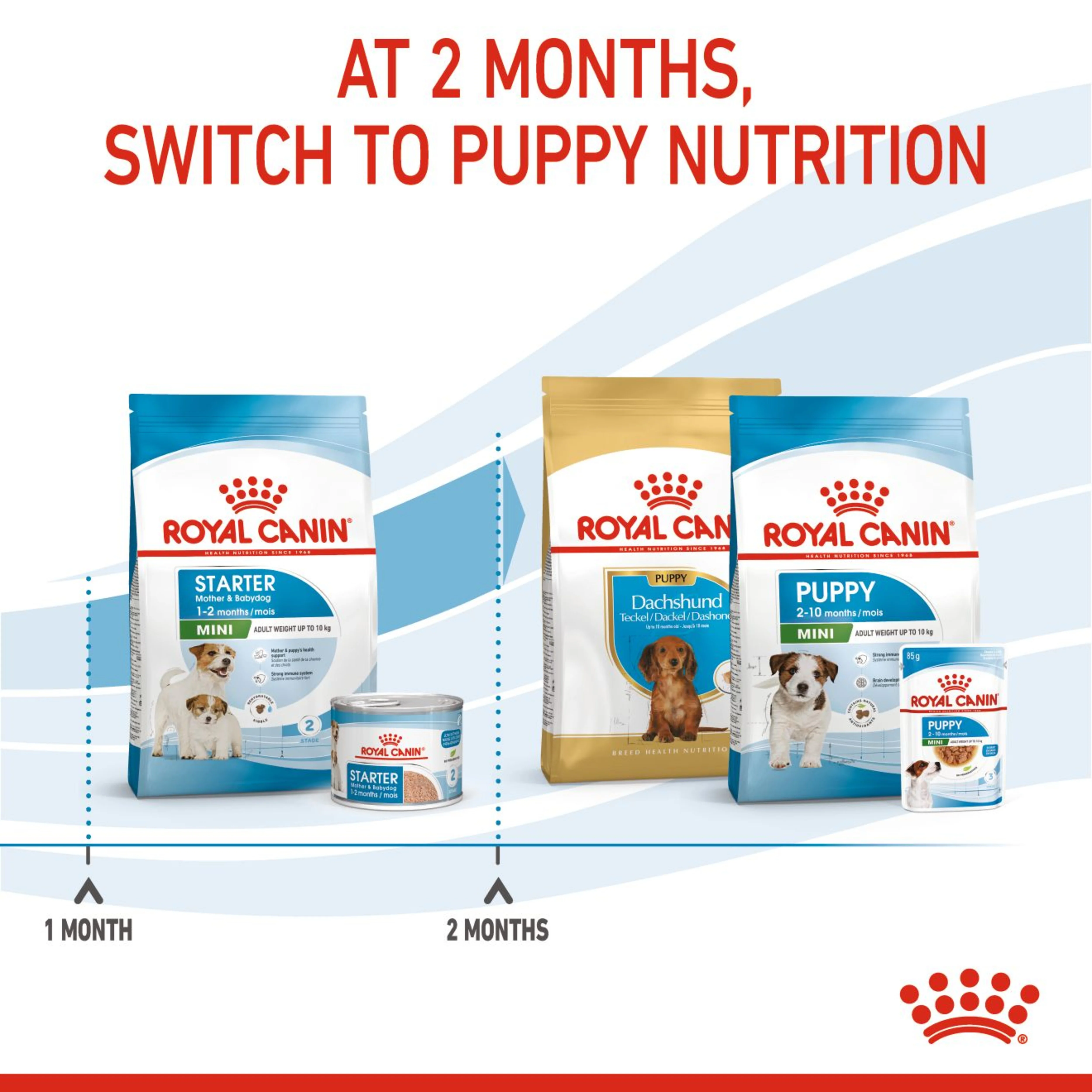 Royal Canin Starter Mother & Babydog Adult & Puppy Mini Dry Small Dog Food - Image 4