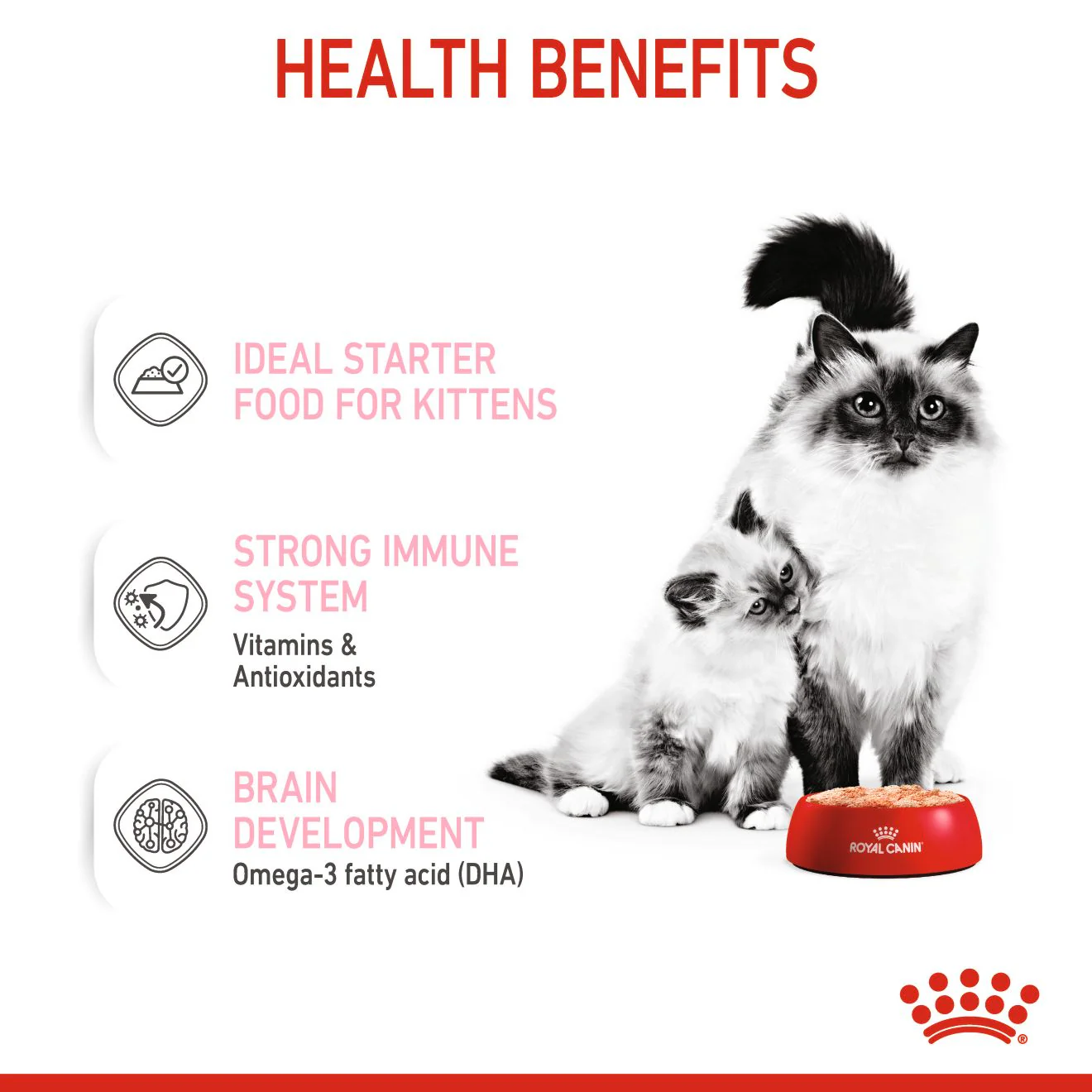 ROYAL CANIN® Feline Mother & Babycat Ultra soft mousse Wet Pet Food - Image 3