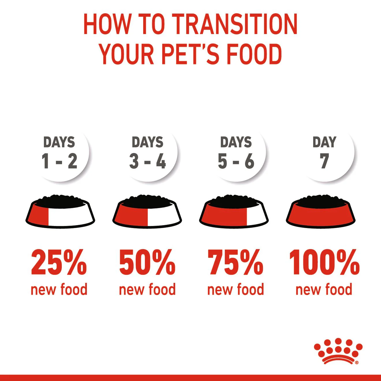 ROYAL CANIN® FELINE HEALTH NUTRITION WET KITTEN Chunks in gravy - Image 5