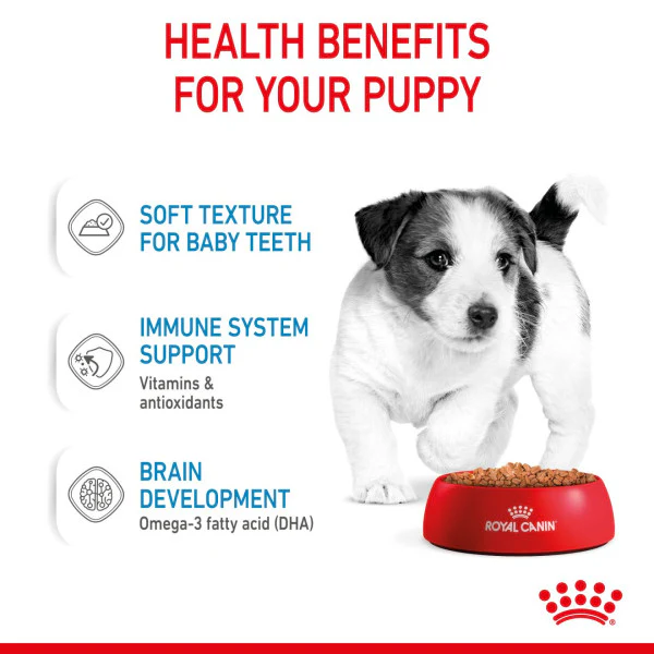 ROYAL CANIN SIZE HEALTH NUTRITION PUPPY - MINI - Chunks in gravy - Image 3