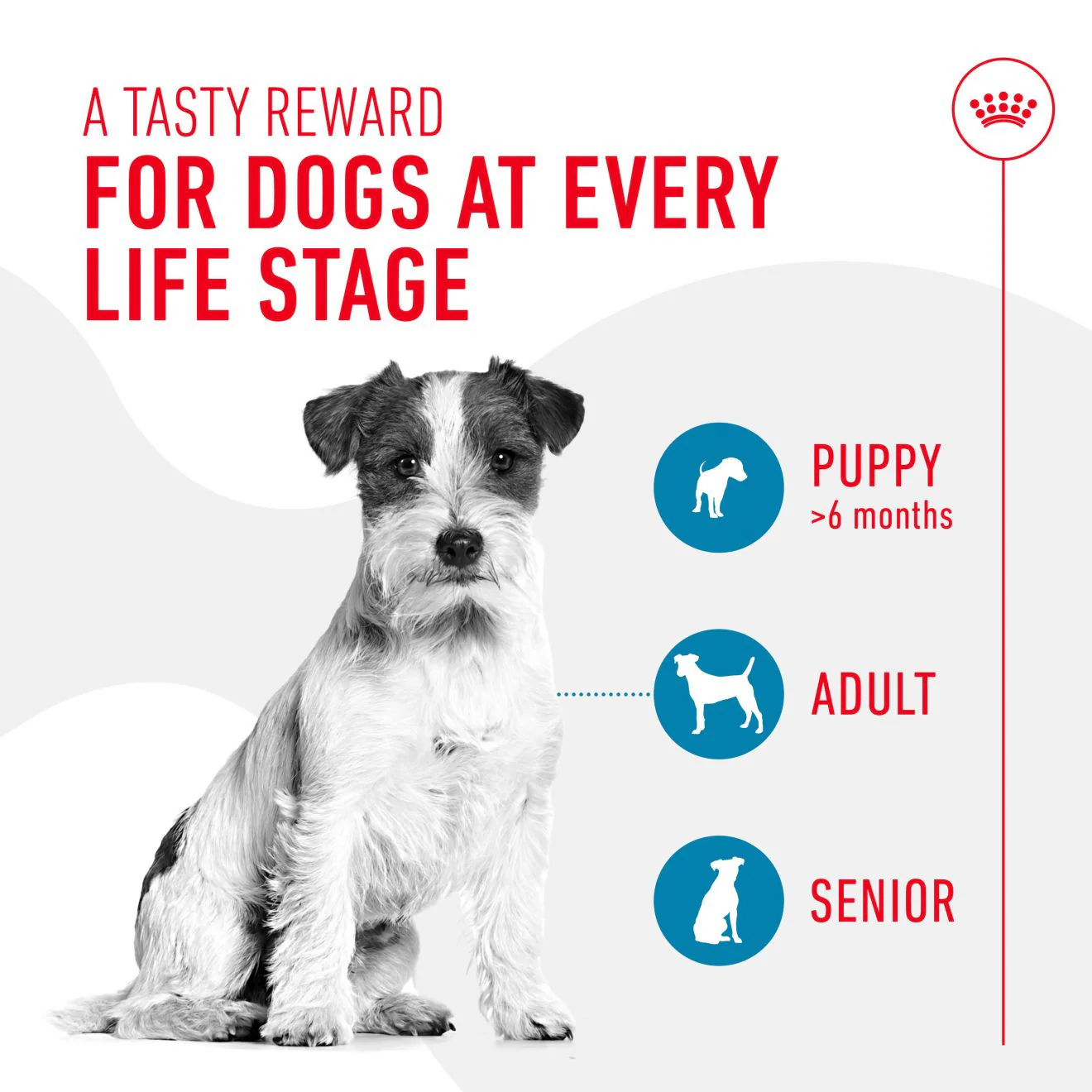 ROYAL CANIN Training Treats - Image 3