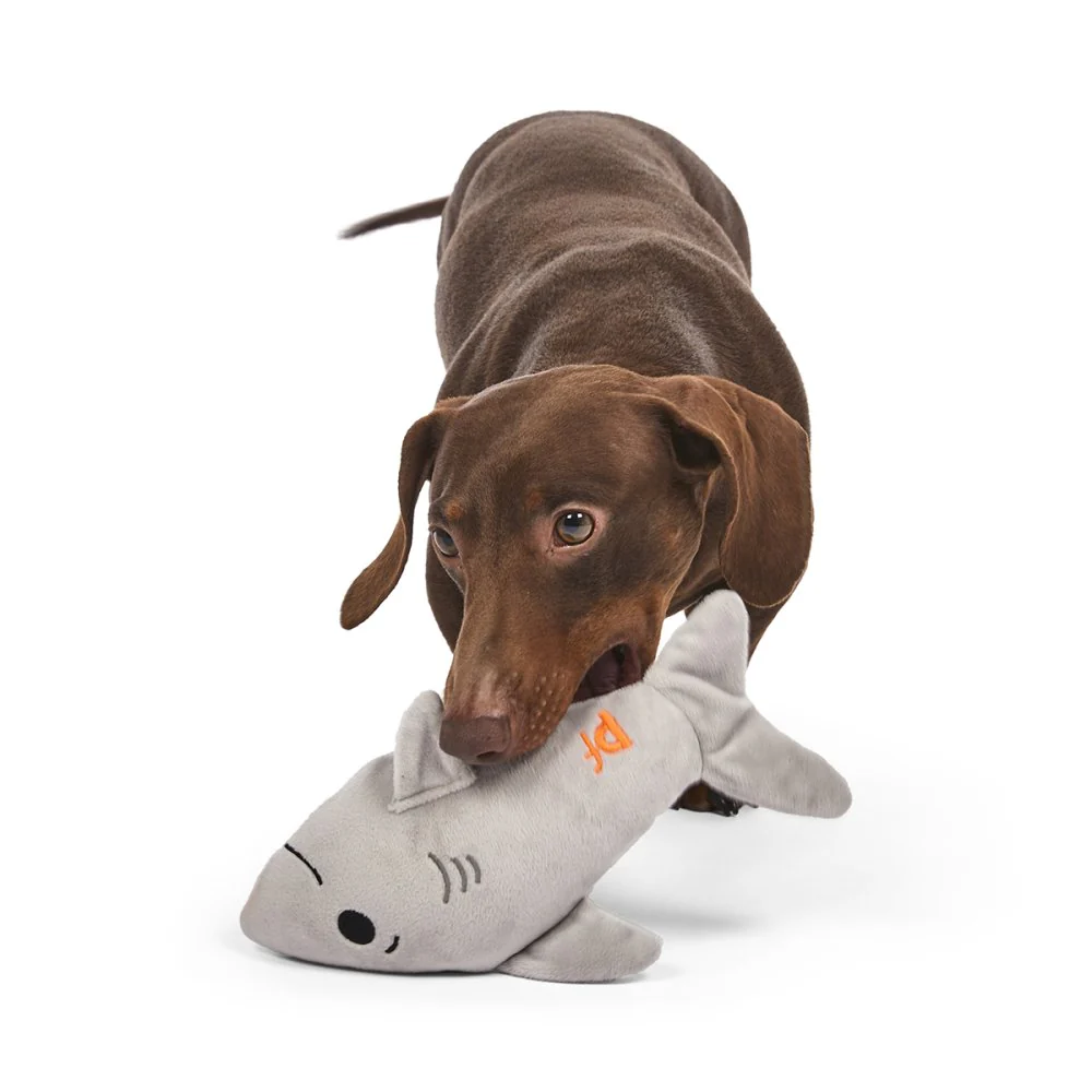 Seriously Strong Rubberoid Shark Plush Dog Toy - Image 7