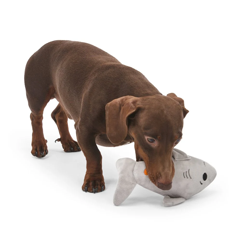 Seriously Strong Rubberoid Shark Plush Dog Toy - Image 8