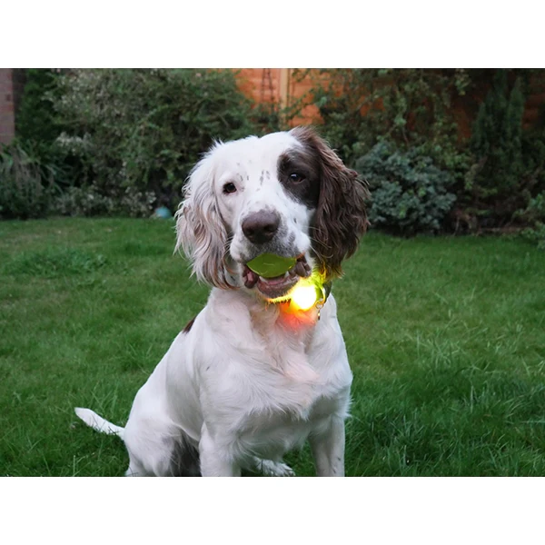 Silicon Collar Light - Image 4