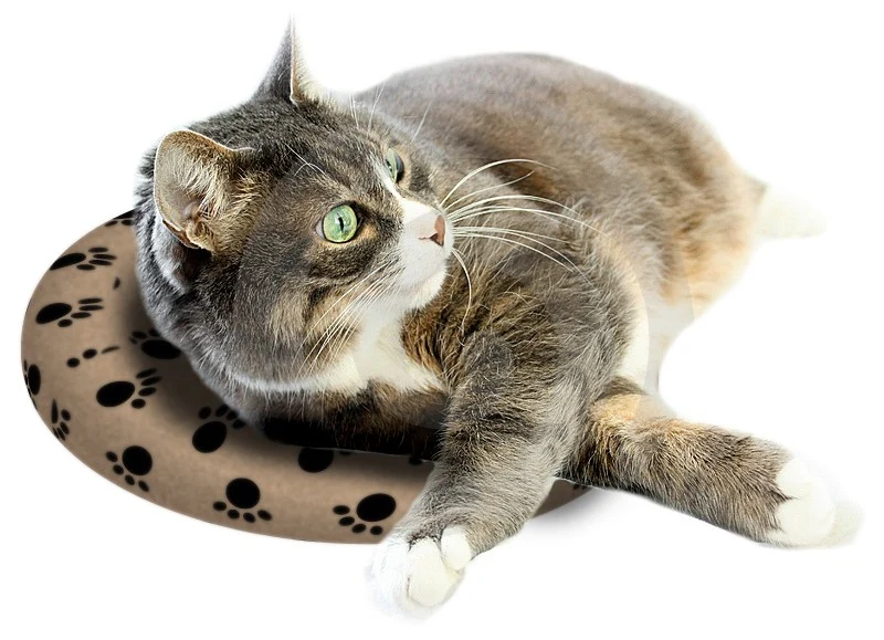 Snuggle Safe Microwave Heatpad For Dogs & Puppies - Image 4