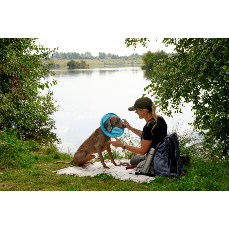 Soft Flex Collar (7 sizes) - Image 8