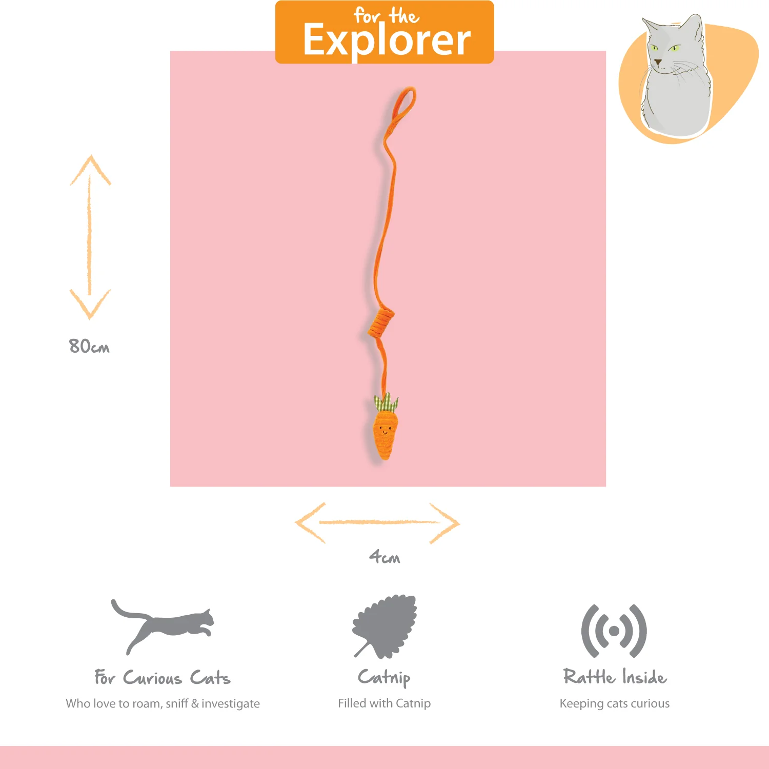 Tabby Patch Carrot Cat Bungee - Image 2