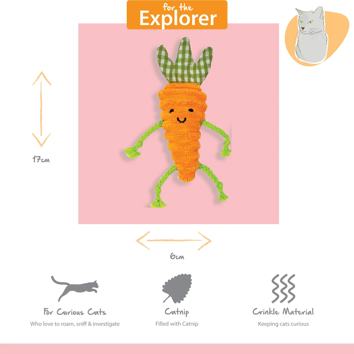 Tabby Patch Catnip Carrots 2Pk - Image 3