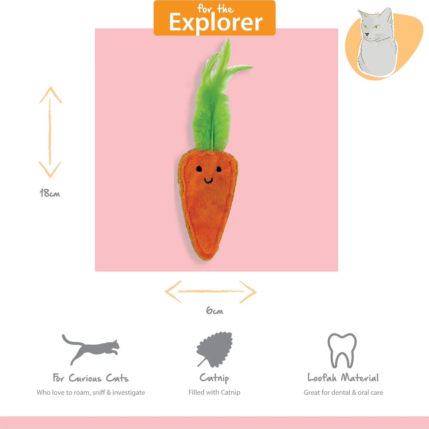 Tabby Patch Catnip Carrots 2Pk - Image 4