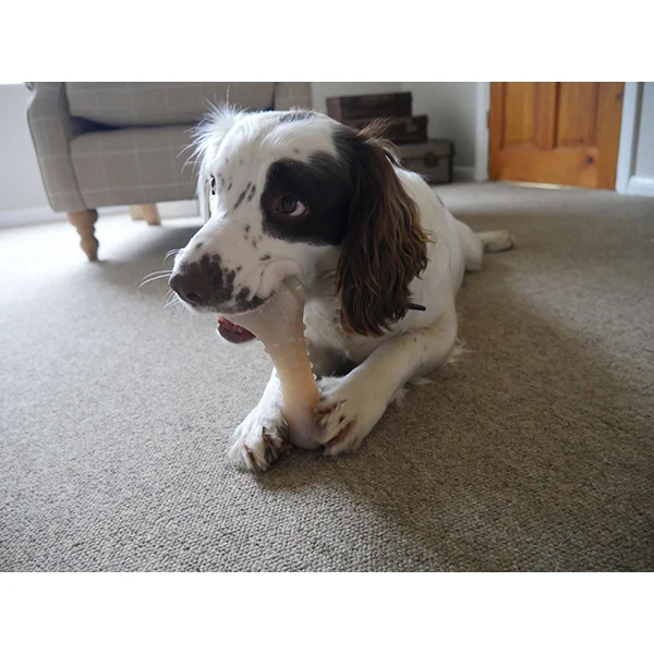 Tough Wood Bone - Image 2