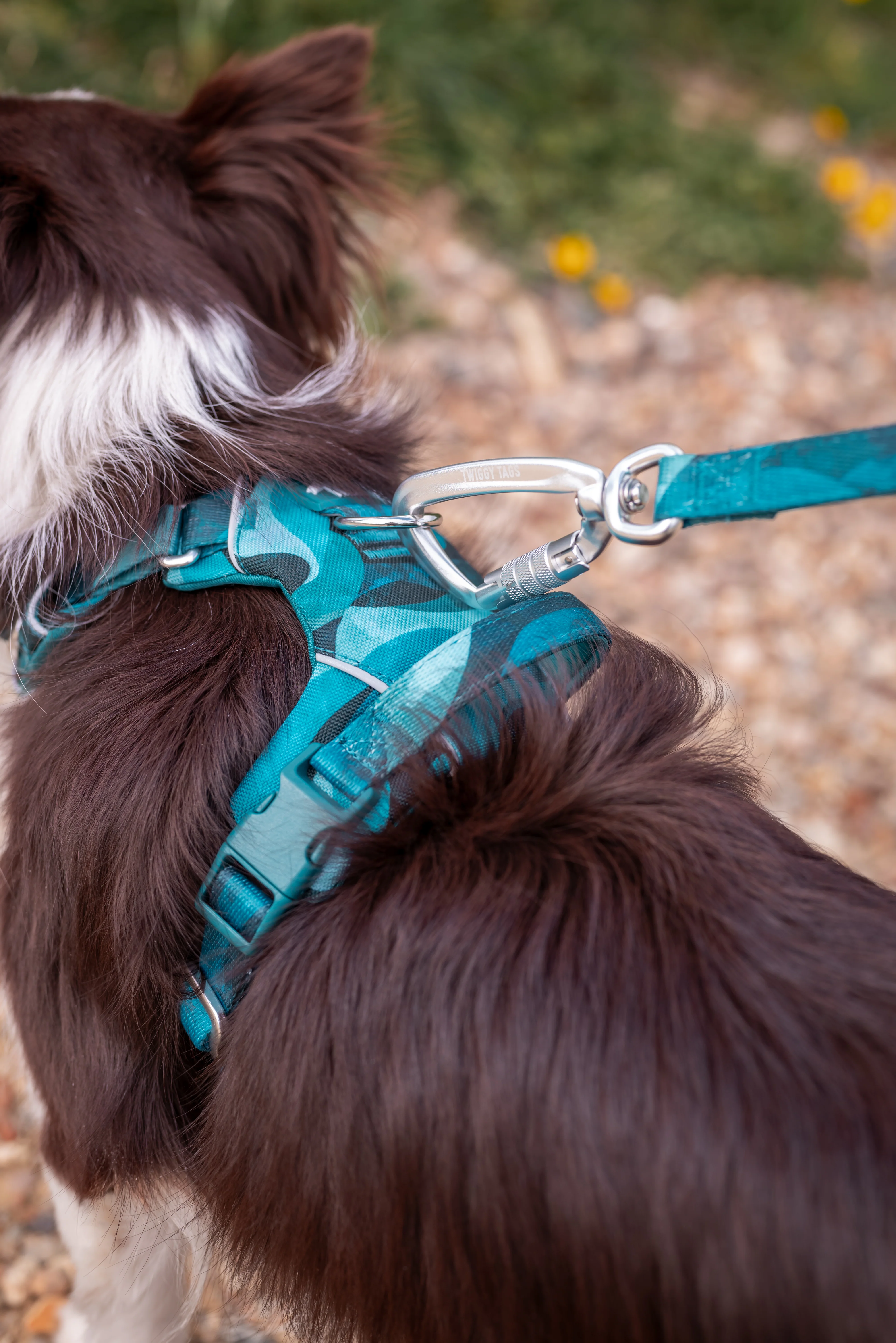 Twiggy Tags Lagoon Adventure 2.0 Lead Small - Image 3