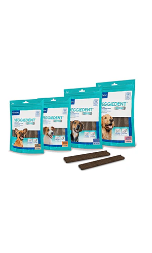 Veggiedent FR3SH Dental Chews for Dogs - Image 5