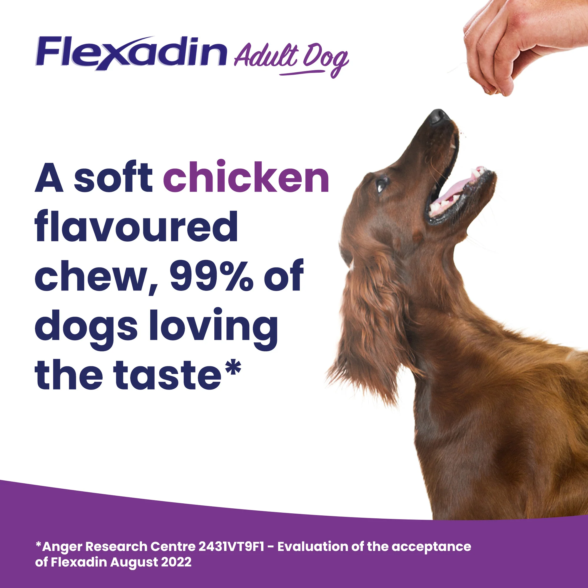 Vetoquinol Flexadin Advanced Dog Chews - Image 3