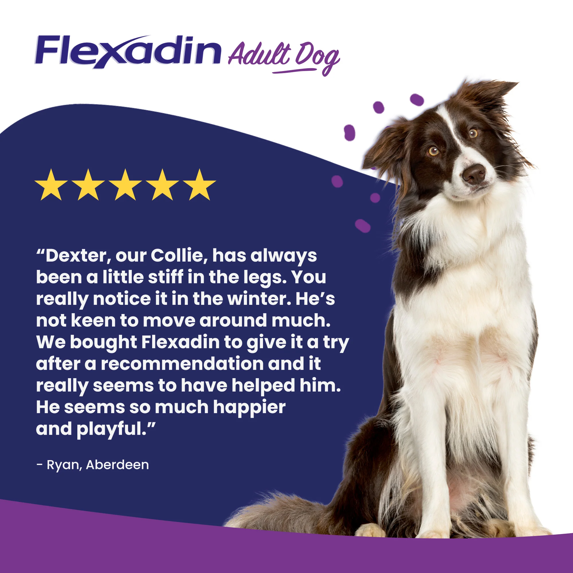 Vetoquinol Flexadin Advanced Dog Chews - Image 5