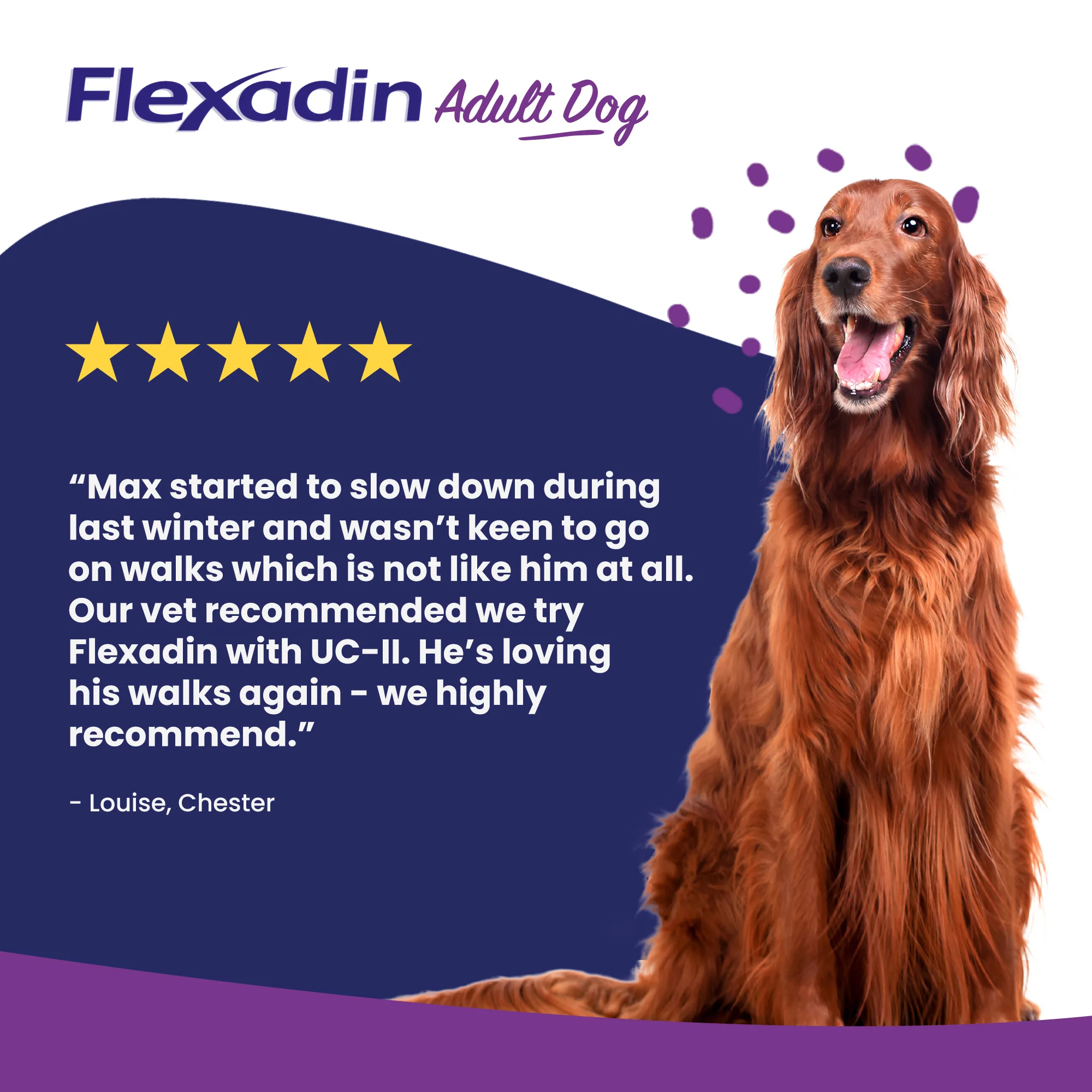 Vetoquinol Flexadin Advanced Dog Chews - Image 6