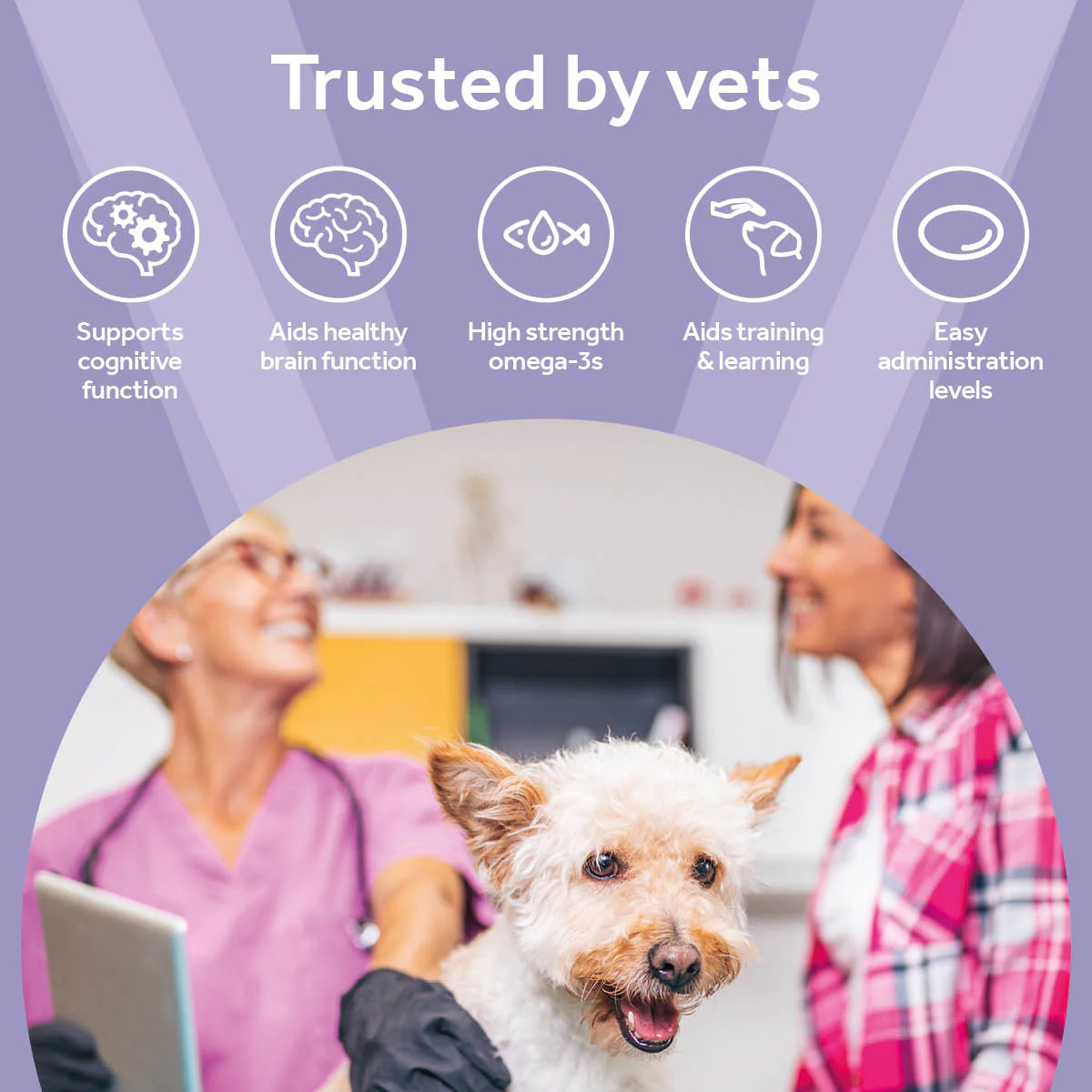 Vetpro Cognitive Support - Image 4