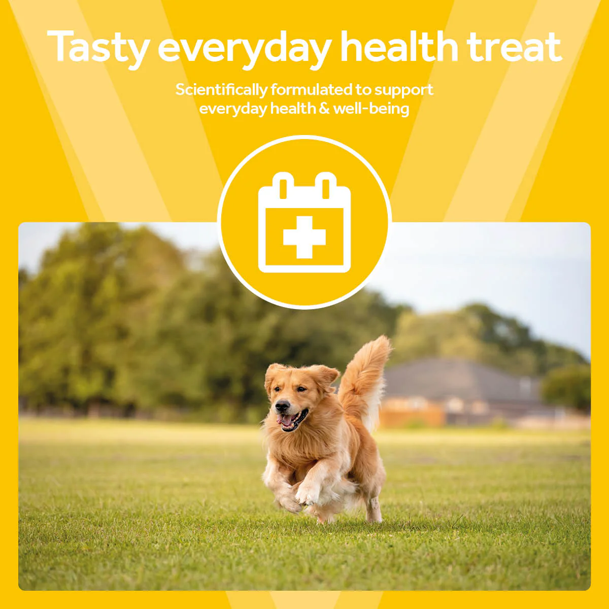 Vetpro Chews Adult Dog Health - Image 2
