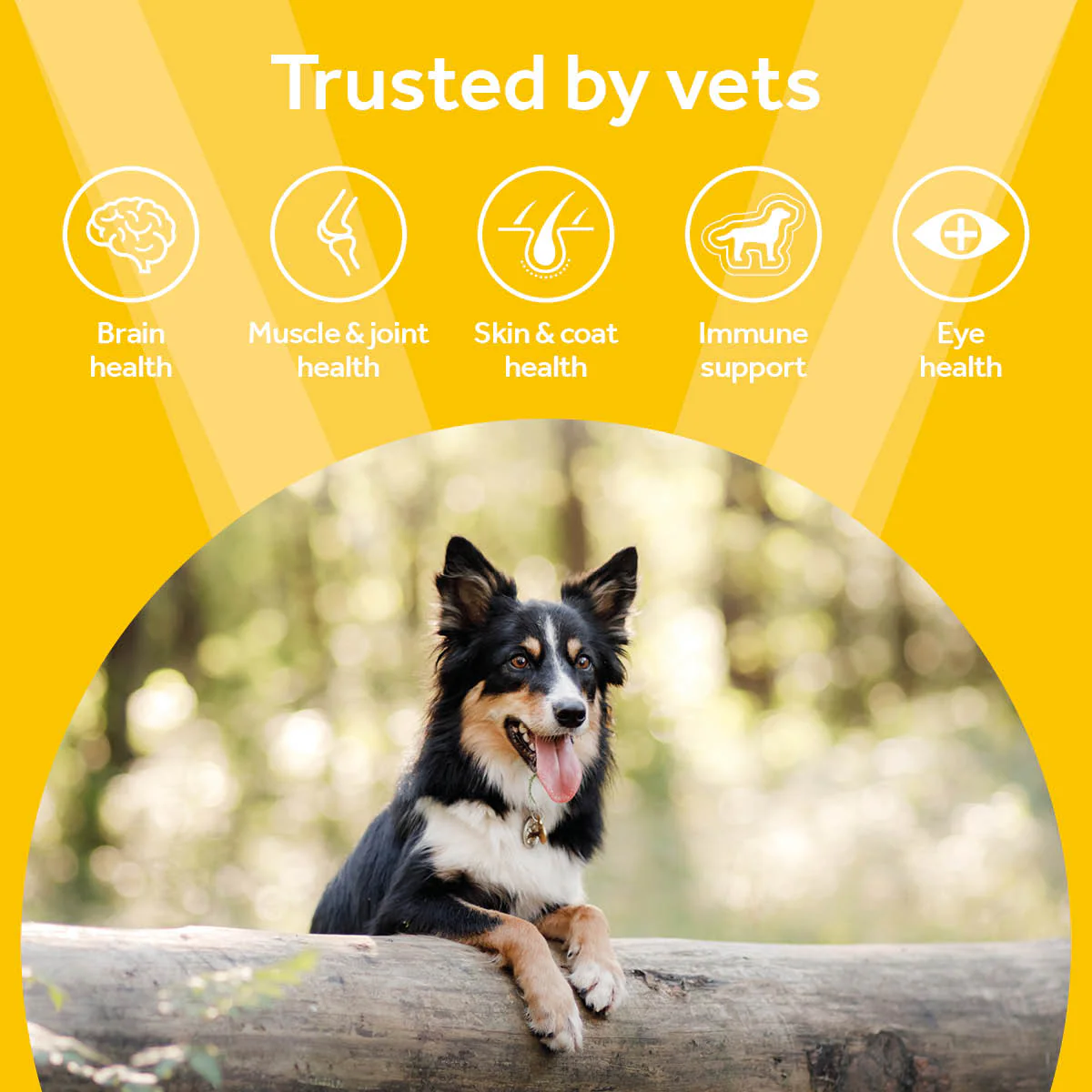Vetpro Chews Adult Dog Health - Image 3