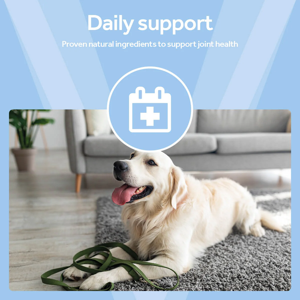 Vetpro Chews Advanced Mobility Support with Omega 3 - Image 5