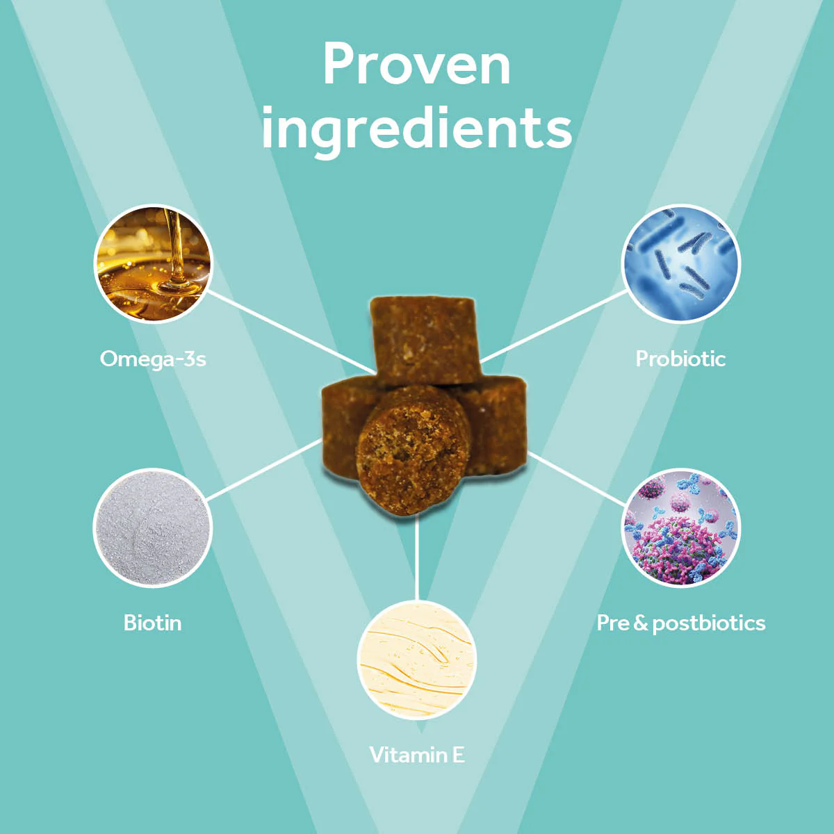 Vetpro Chews Advanced Skin & Coat Support - Image 3