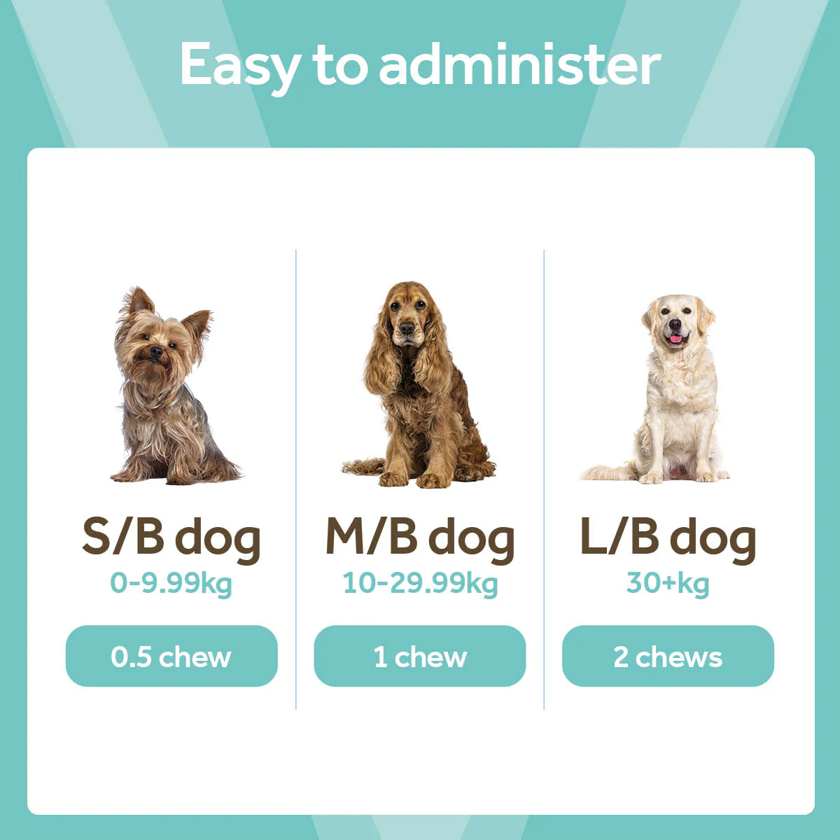 Vetpro Chews Advanced Skin & Coat Support - Image 4