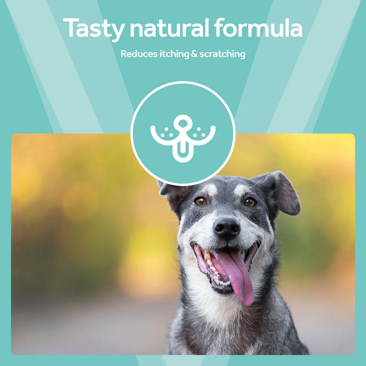 Vetpro Chews Advanced Skin & Coat Support - Image 5